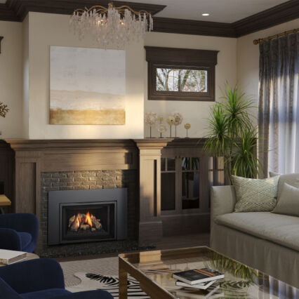 Regency Atmosphere Gi25 Medium Gas Insert