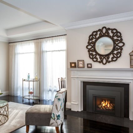 Regency® Atmosphere Gi29 Medium Gas Insert