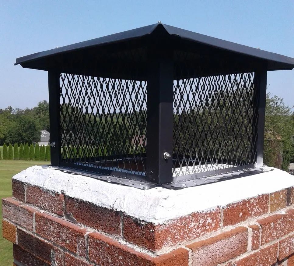Black powder-coated chimney cap with diamond mesh screening mounted over a white mortar crown.